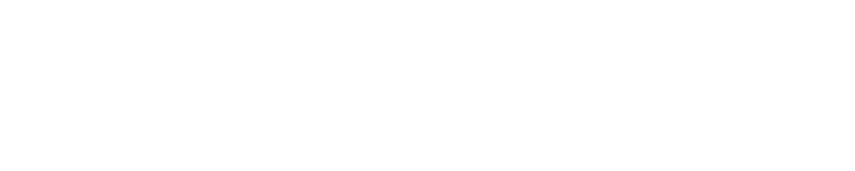 Plecsys Studio